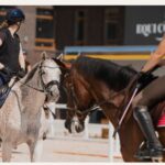 Кінно-спортивний клуб Equicor – сучасний центр розвитку верхової їзди у Львові