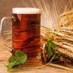 Як читати етикетку пива: що означають IBU, ABV та інші позначки